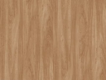Wood grain 3d model