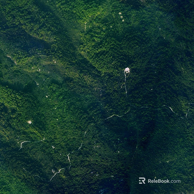 Green Mountain Overlooking Exterior Map texture
