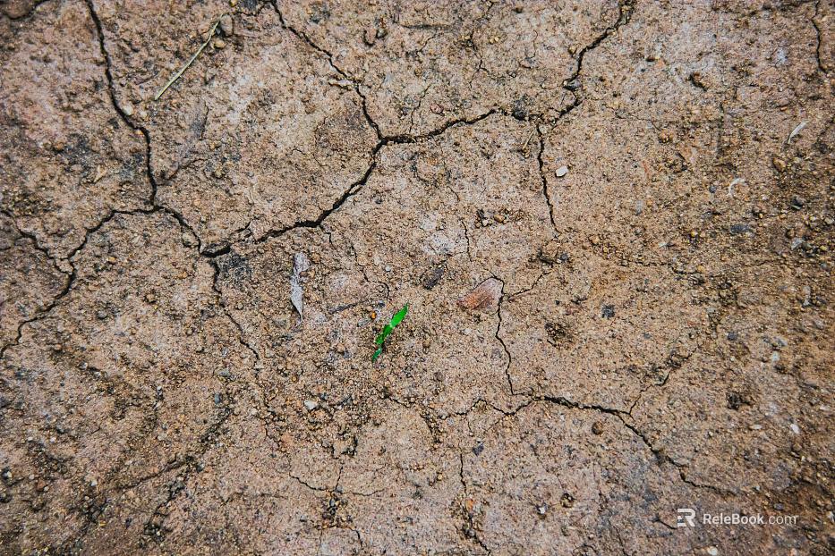 Mud texture