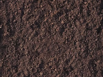 Mud texture (ID:ffajg18321)