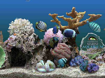 Fish tank texture (ID:ffabg99466)