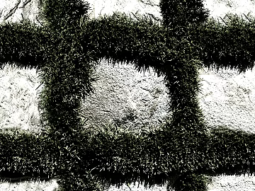 grass-planting brick texture (ID:ffajg82743)