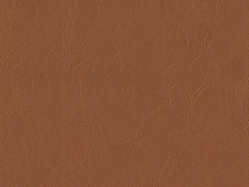 TAN BRI LEATHER texture (ID:ffach816815)