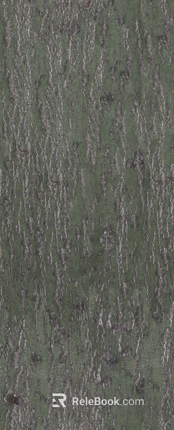 bark texture