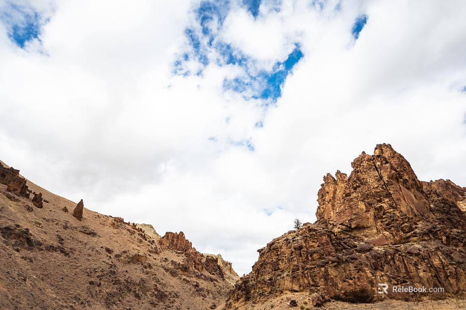 Wild Scenery texture