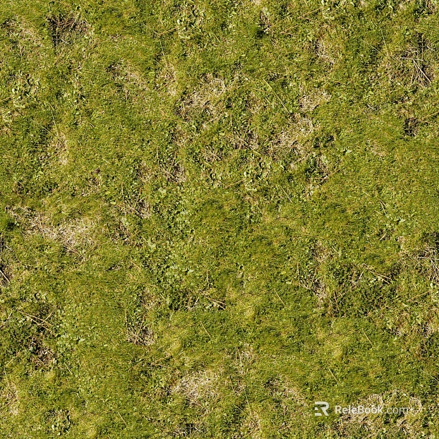 Turf ground texture