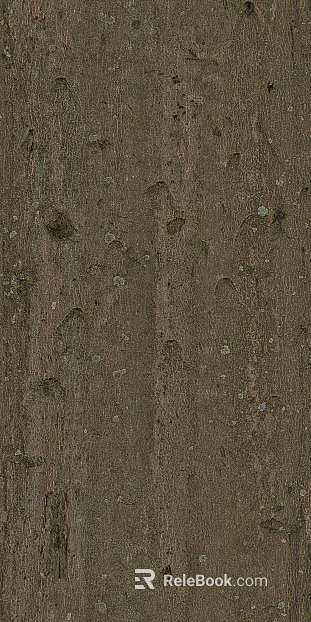 Bark texture