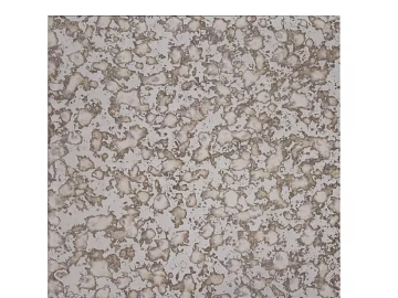Stone texture (ID:ffacg03194)