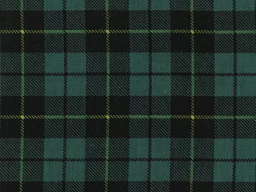 Plaid texture (ID:ffacg32406)