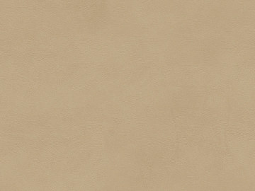 fine grain leather texture (ID:ffacg85548)