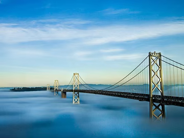 Wild Scenery texture (ID:ffabg65865)