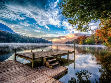 Wild Scenery texture (ID:ffhfe516)