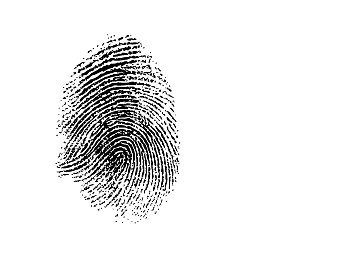 Fingerprint texture (ID:ffajg32379)