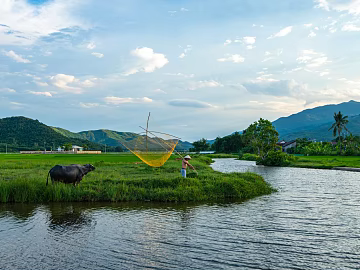 Outdoor scenery texture (ID:ffajh441477)