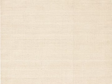 Plain pattern carpet texture (ID:ffajg67460)