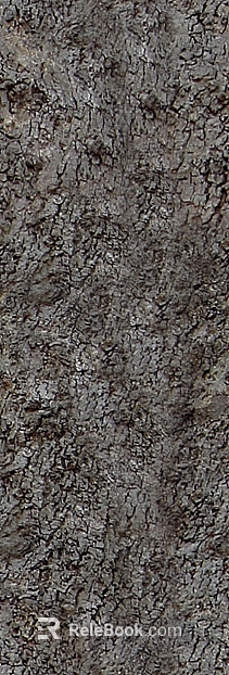 charred wood roasted mahogany seamless texture