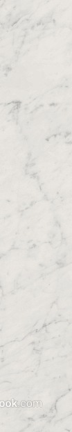 Light gray white marble wall ground texture