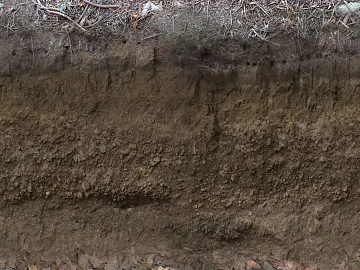 Tan Soil Outdoor Ground Slope texture (ID:ffaeh805826)