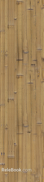 Bamboo texture
