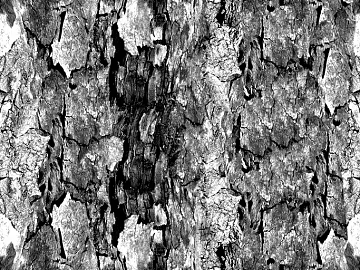 Black and White Bump texture (ID:ffacg49220)