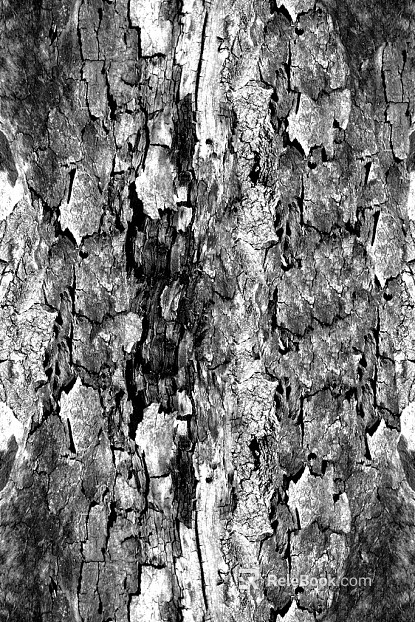 Black and White Bump texture