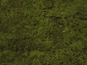 moss texture (ID:ffabg16374)