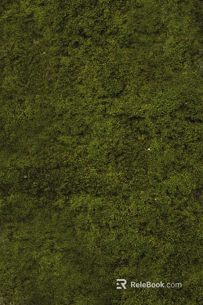moss texture