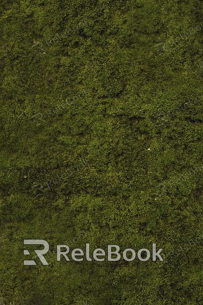 moss texture