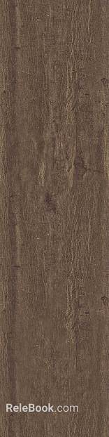 bark texture