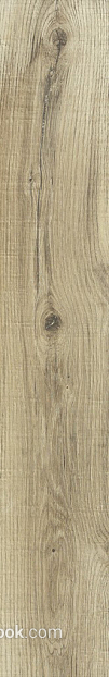 Wood grain texture