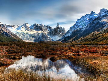 Wild Scenery texture (ID:ffaeg41914)