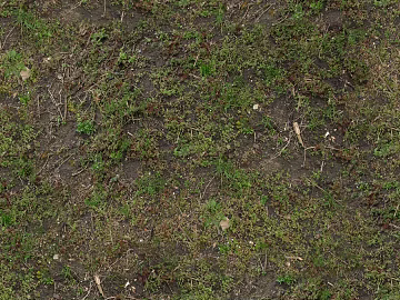 Turf texture (ID:ffajg44596)