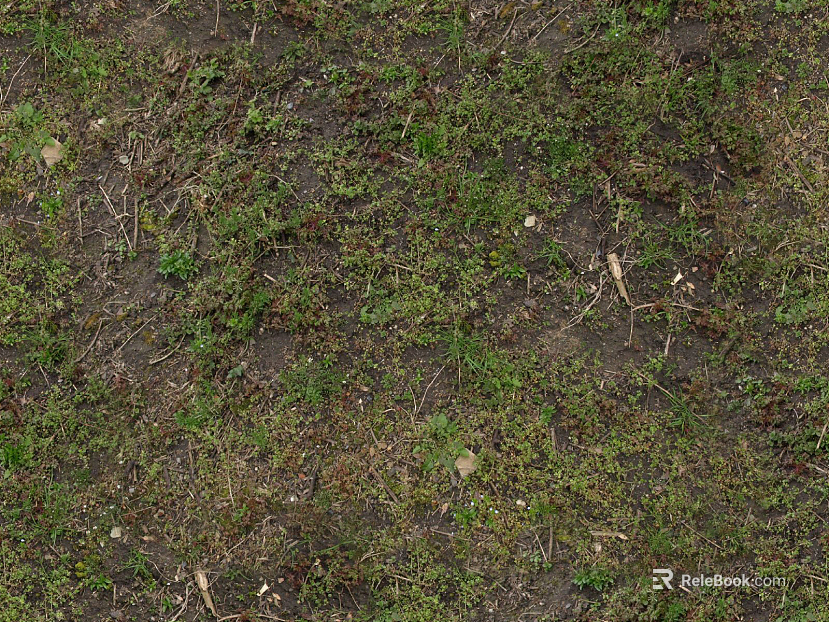 Turf texture