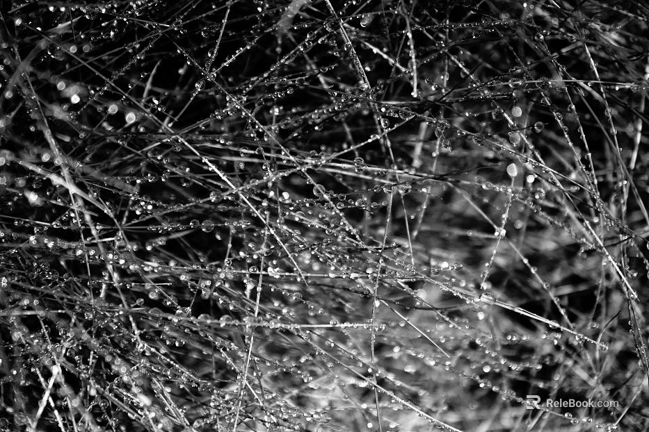 Black and White Bump texture