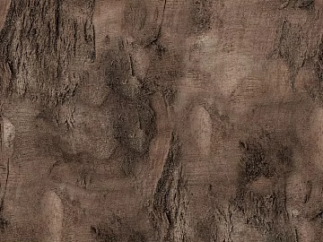 bark texture (ID:ffach990566)