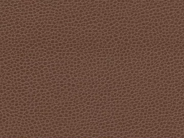 Coarse-grain leather texture (ID:ffach679038)