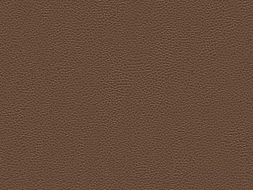 fine grain leather texture (ID:ffaff9671)