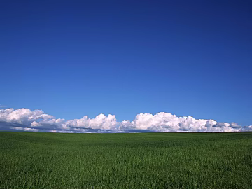 Wild Scenery texture (ID:ffabg34047)