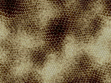 Stone Paving texture (ID:ffajg54992)