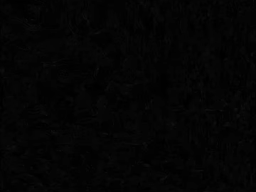 Black textured leather wall upholstery (ID:ffaeh439091)