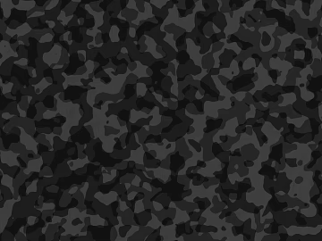 Camouflage 3d model