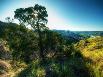 Wild Scenery texture (ID:ffajg03042)