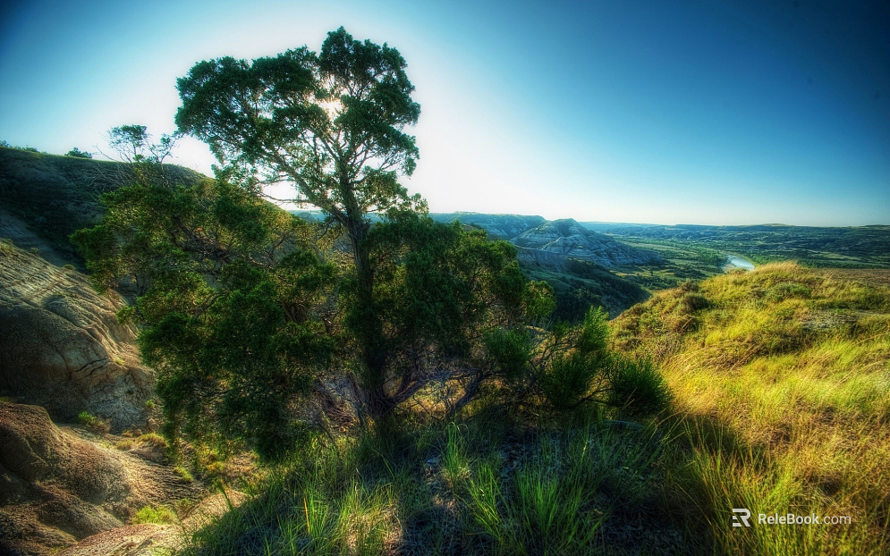 Wild Scenery texture