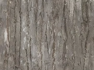 bark texture (ID:ffach198554)