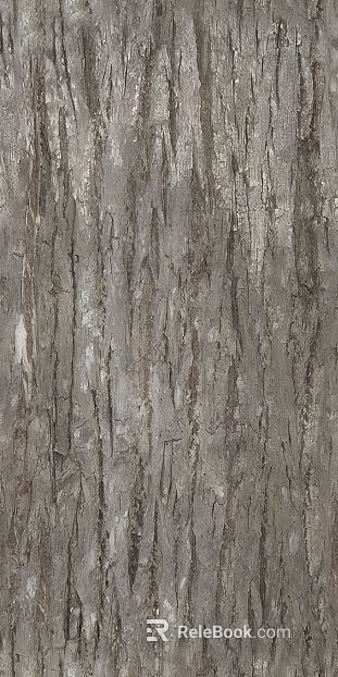 bark texture
