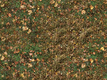 grass lawn deciduous leaves deciduous ground autumn leaves autumn meadow texture (ID:ffach919785)
