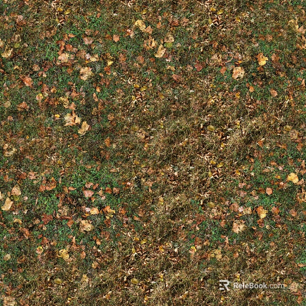 grass lawn deciduous leaves deciduous ground autumn leaves autumn meadow texture
