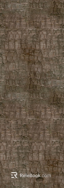 bark texture