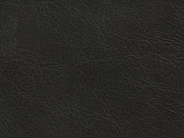 fine grain leather texture (ID:ffajg20331)