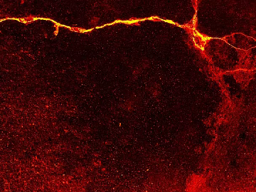 Wallpaper texture (ID:ffaeg68641)